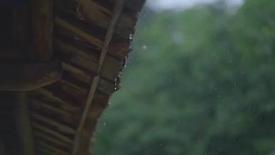 农村情绪屋檐下雨雨滴植物夏天视频的预览图